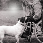 Nature's Shield: Defending Dogs from Pests Without Harsh Chemicals