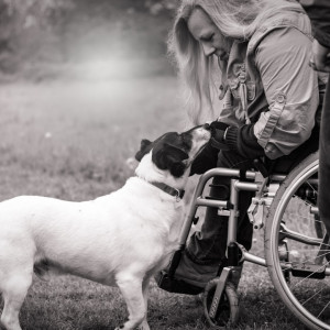 Nature's Shield: Defending Dogs from Pests Without Harsh Chemicals