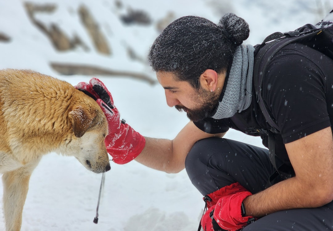The Vet-Developed Secret to a Pest-Free Dog & Toxin-Free Home