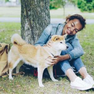 The Vet-Developed Difference: Why a Botanical Flea and Tick Collar is the Safest Choice