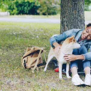 A Pet Parent's Ultimate Checklist for the Best Natural Flea and Tick Collar
