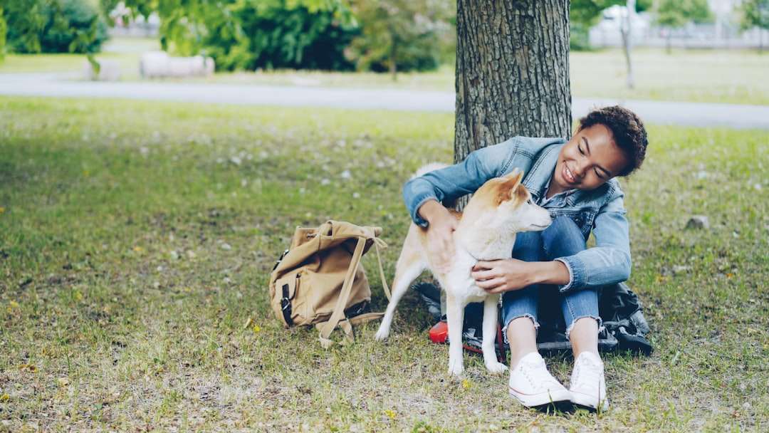 A Pet Parent's Ultimate Checklist for the Best Natural Flea and Tick Collar