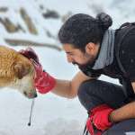 Natural Flea Collar for Dogs: EcoSentry™ for Safe & Effective Protection