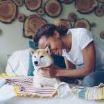 Hijack the Pest Signal: The Natural Flea Collar for Dogs That Rewires Their Instincts