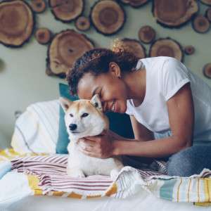 Hijack the Pest Signal: The Natural Flea Collar for Dogs That Rewires Their Instincts