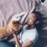 Translating the Itch: The Natural Flea Collar for Dogs That Answers Their Silent Plea for Help