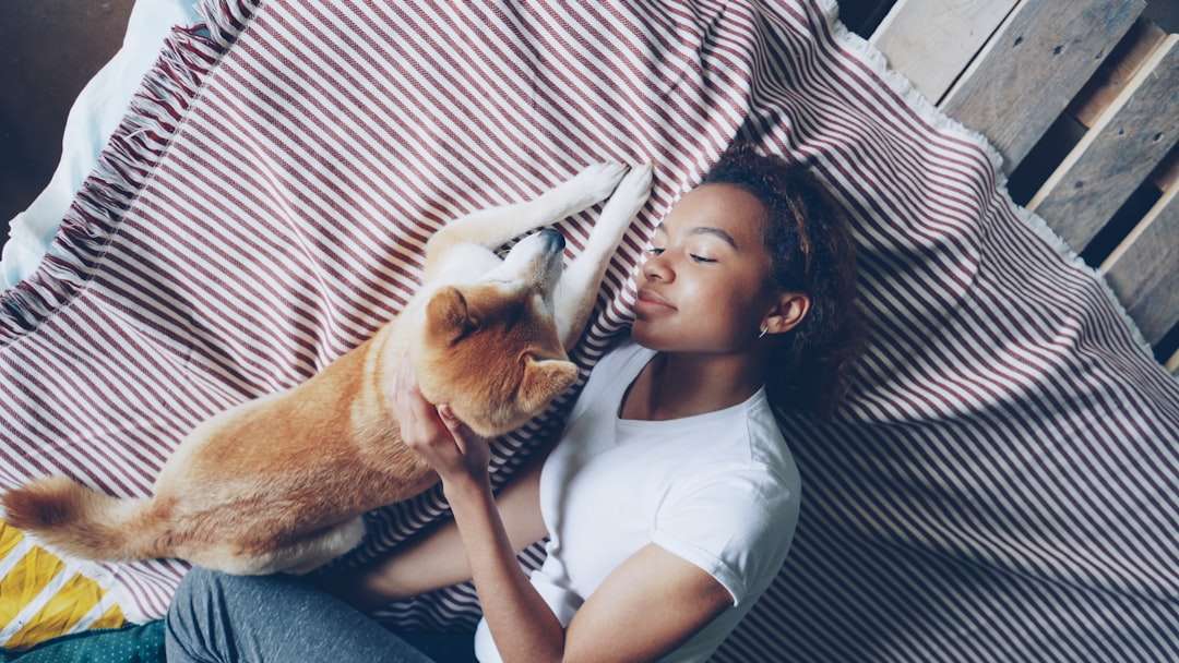 Translating the Itch: The Natural Flea Collar for Dogs That Answers Their Silent Plea for Help