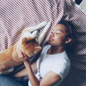 End the Hesitation: The Natural Flea Collar for Dogs That Makes Snuggles Safe Again