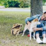 Answering Your Dog's Silent Scream: The Natural Flea Collar for Dogs That Stops Hidden Suffering