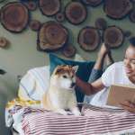 Honor Their Trust: The Natural Flea Collar for Dogs That Ends the 'Pest vs. Poison' Dilemma