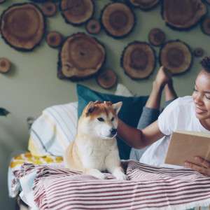 Honor Their Trust: The Natural Flea Collar for Dogs That Ends the 'Pest vs. Poison' Dilemma