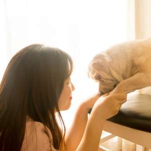 Harness Nature's Power: The Natural Flea Collar for Dogs That Brings Family Peace