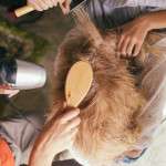 3 Hidden Health Threats from Fleas & Ticks (And the Natural Flea Collar for Dogs That Stops Them Cold)