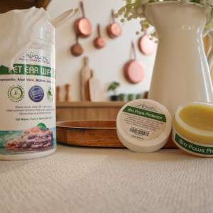 Your Dog’s Itch Is a War: Win It with This Natural Flea Collar for Dogs