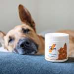 Your Dog’s Natural Scent is a Secret Weapon Against Fleas & Ticks – Here’s How EcoSentry™ Unlocks It