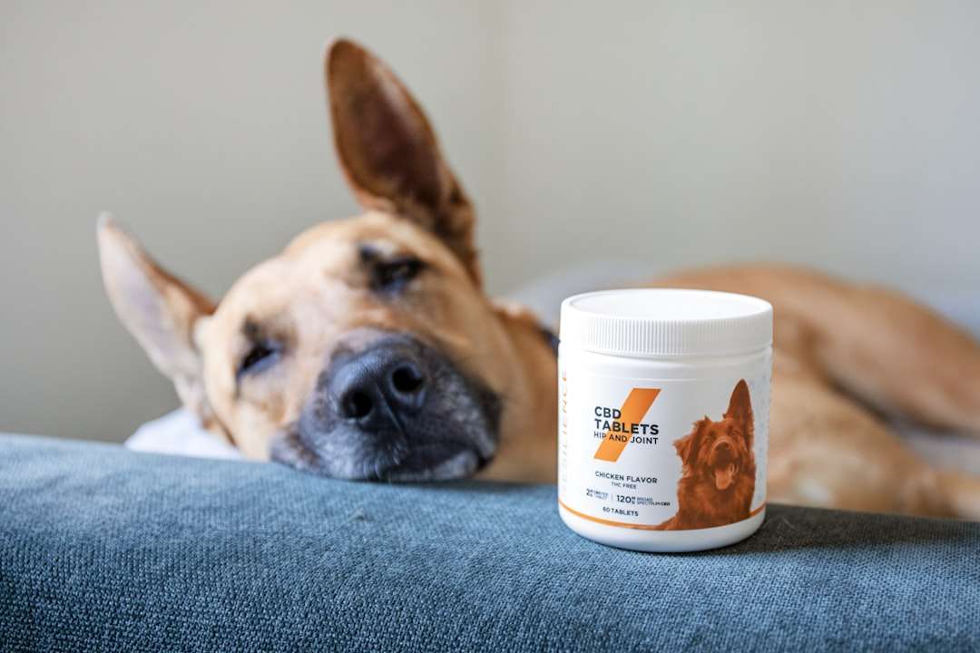 Your Dog’s Natural Scent is a Secret Weapon Against Fleas & Ticks – Here’s How EcoSentry™ Unlocks It