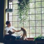Is Your Dog a Pest Super-Spreader? The Natural Flea Collar for Dogs That Makes Your Home a Sanctuary