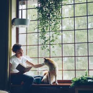 From Beacon to Force Field: The Natural Flea Collar for Dogs That Weaponizes Scent