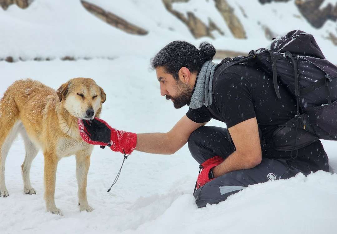 The Vet's Secret: This Natural Flea Collar for Dogs Exploits a 'Glitch' in Pest Biology