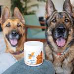 Stop the Scratch: The Vet-Designed Natural Flea Collar for Dogs That Ends the Immune Battle