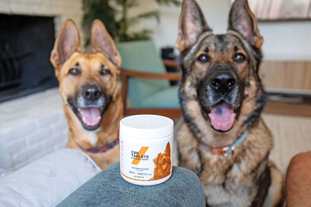 Stop the Scratch: The Vet-Designed Natural Flea Collar for Dogs That Ends the Immune Battle