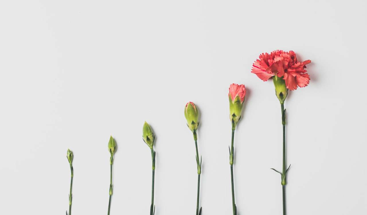 Transformative Life Principles to Inspire Change