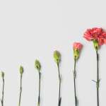 Transformative Life Principles to Inspire Change